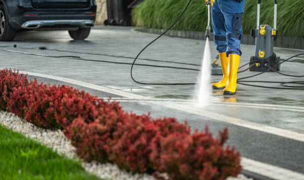 Best Local Pressure Washing Services  in Waynesburg, PA