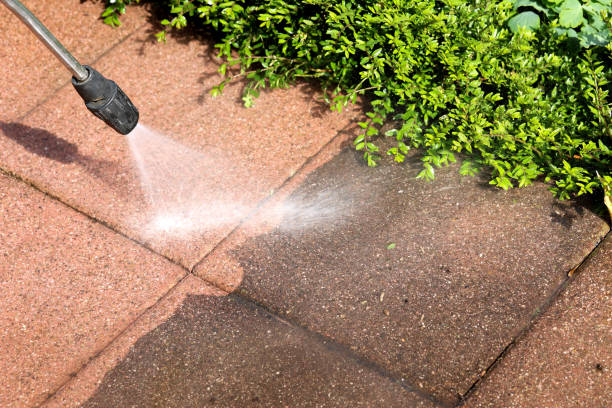 Best Roof Pressure Washing  in Waynesburg, PA